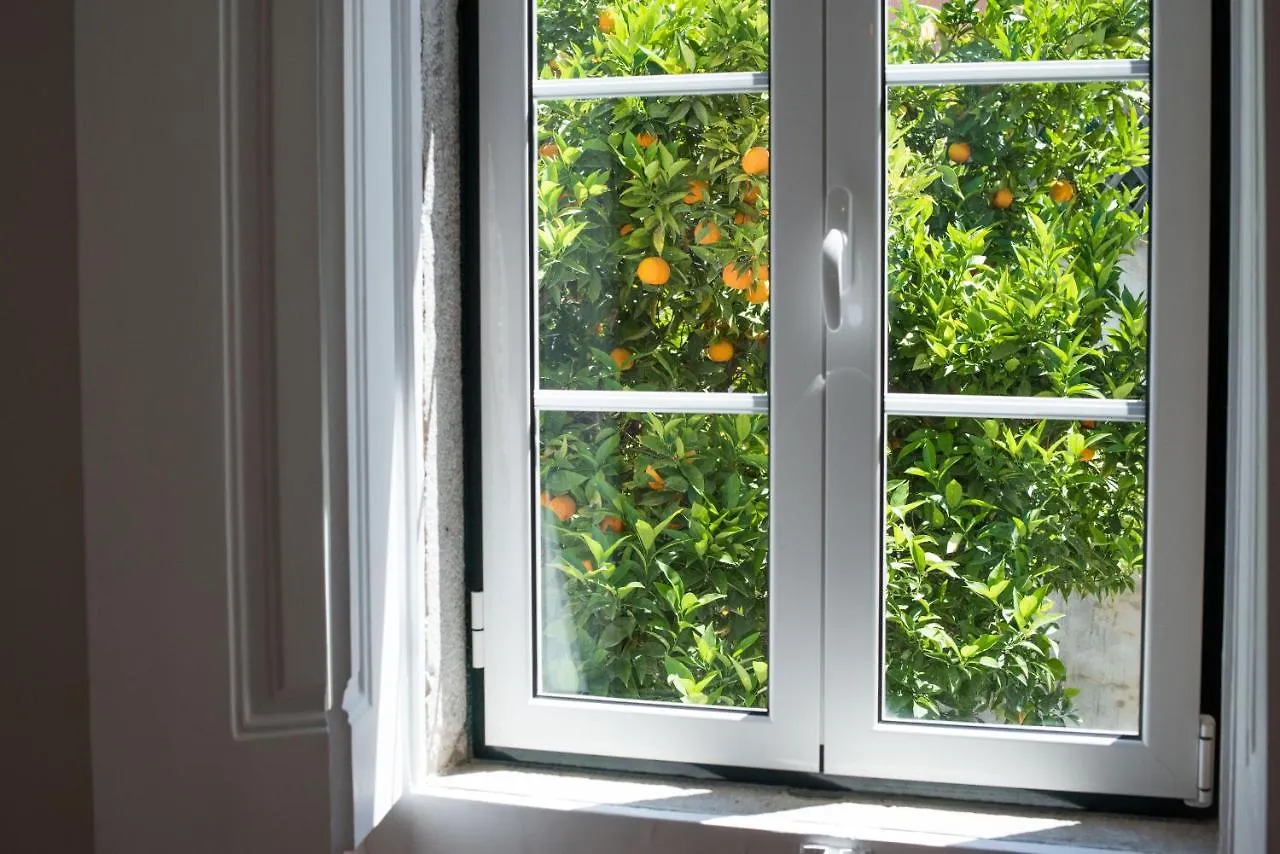 Flh Martim Moniz Lovely Flat I Apartment Lisbon